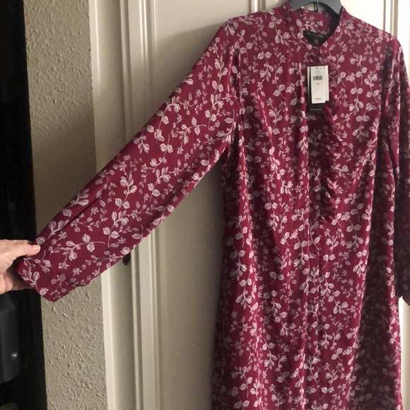 NWT - Picture 5 of 6